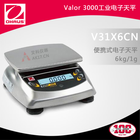 V31X6CN便攜式電子天平 6kg/1g（停產）